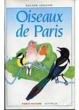 Les oiseaux de Paris par Guilhem Lesaffre