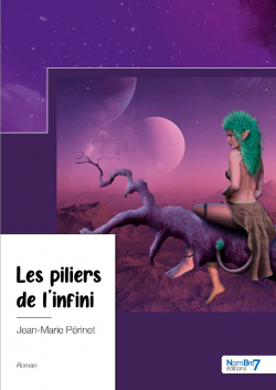 Les piliers de l'infini par Jean-Marie Prinet