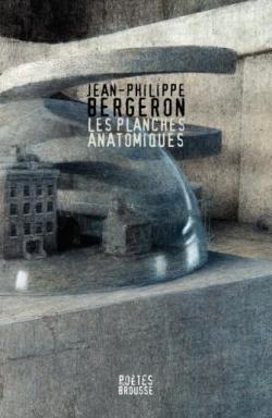 Book's Cover of Les planches anatomiques