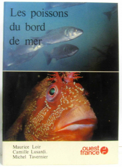 Les poissons du bord de mer par Maurice Loir