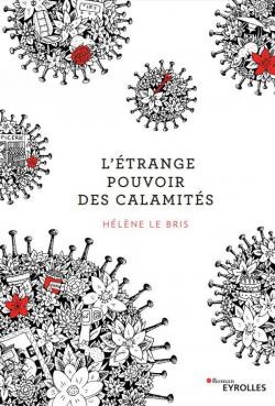 L'étrange pouvoir des calamités par Hélène Le Bris