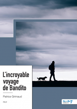 L'incroyable voyage de Bandito par Patrice Grimaud