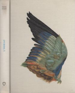 L'oiseau par Marcel Jullian