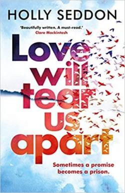 Love will tear us apart par Holly Seddon