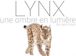 Lynx une ombre en lumire par Neil Villard