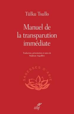 Manuel de la transparution immédiate par Arguillère