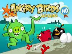 Mes jeux de vacances Angry Birds par Aurore Meyer