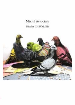 Mixit associale par Nicolas Chevalier