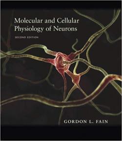 Molecular and cellular physiology of neurons par Gordon Fain