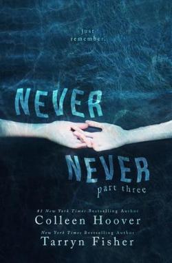 Never Never, tome 3 par Tarryn Fisher
