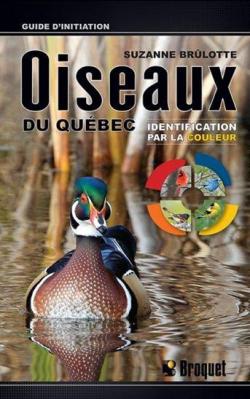 Oiseaux du Qubec /Identification par la couleur par Suzanne Brlotte