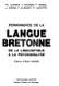 Permanence de la langue bretonne : De la linguistique  la psychanalyse (Anthropologie mdicale) par Carrer