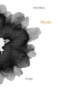 Physalis par Sylvie Marot