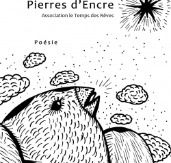 Pierres d'Encre n3 par Flora Delalande