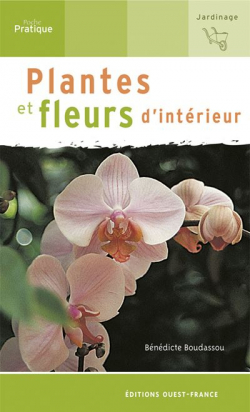 Plantes Et Fleurs D'intrieur par Bndicte Boudassou