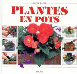 Plantes en pots par Sue Phillips