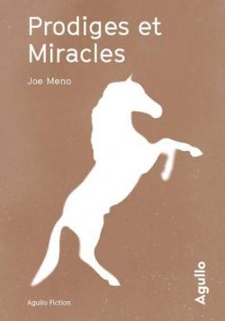 Prodiges et miracles par Joe Meno