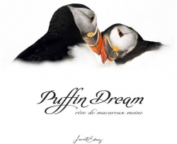 Puffin dream par Laurent Echenoz