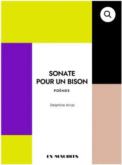 SONATE POUR UN BISON par Delphine ARRAS