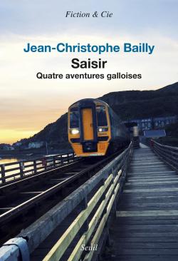Saisir : Quatre aventures galloises par Jean-Christophe Bailly