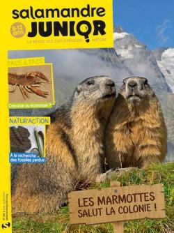 Salamandre junior, n136 : Les marmottes, salut la colonie ! par Revue Salamandre