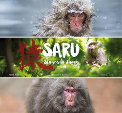 Saru - Singes du Japon par Alexandre Bonnefoy