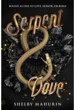 Serpent & Dove, tome 1 par Shelby Mahurin