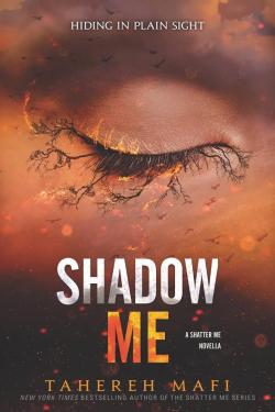 Insaisissable, tome 4.5 : Shadow me par Tahereh Mafi