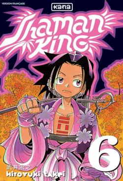 Shaman King, tome 6 : Les deux garons partent  Izumo par Hiroyuki Takei