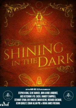 Shining in the Dark par Stephen King
