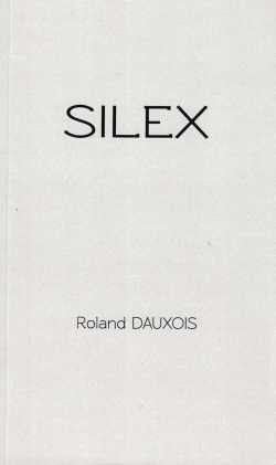 Silex par Roland Dauxois