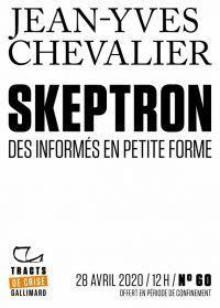 Skeptron : Des informs en petite forme  par Jean-Yves Chevalier (II)
