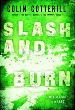 Book's Cover of Slash and Burn