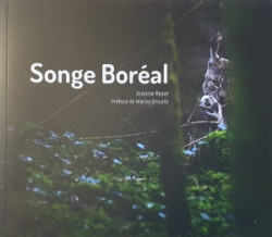 Songe Boral par Antoine Rezer