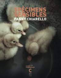 Spcimens sensibles par Fanny Chiarello