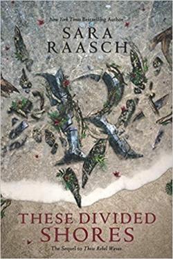 Stream Raiders, tome 2 : These Divided Shores par Sara Raasch