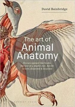 The art of animal anatomy par David Bainbridge