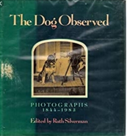 The Dog Observed. Photographs 1844-1983 par Ruth Silverman