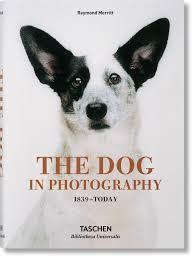 The Dog in Photography par Raymond Merritt