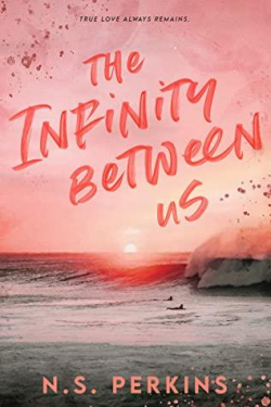 The Infinity Between Us par N.S. Perkins