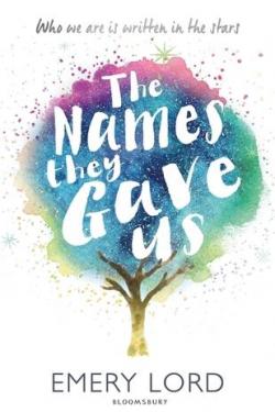 The Names They Gave Us par Emery Lord