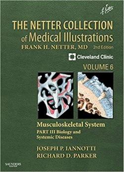 The Netter Collection of Medical Illustrations, tome 6 : Musculoskeletal System 3 par Netter