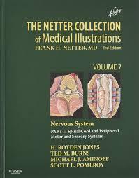 The Netter Collection of Medical Illustrations, tome 7 : Nervous System 2 par Frank Henry Netter