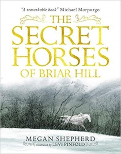 The Secret Horses of Briar Hill par Megan Shepherd