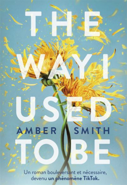 The Way I Used to Be par Amber Smith