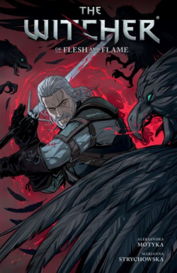 The Witcher, tome 4 : Of flesh and flame par Aleksandra Motyka