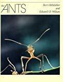 The ants par Edward O. Wilson