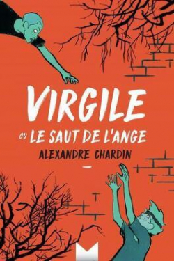 Virgile ou le saut de l'ange par Alexandre Chardin