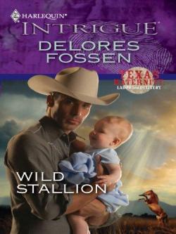 Wild Stallion par Delores Fossen