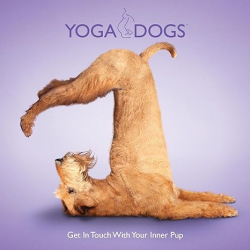 Yoga Dogs: Get in Touch with Your Inner Pup par DANIEL BORRIS